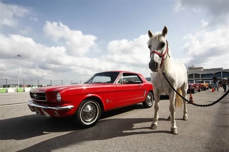 Ford Mustang’in 50. yılını kutladılar