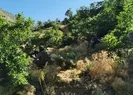 Mehmetçik Irakta teröristleri avladı
