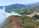 Muğlada orman yangını! Kontrol altına alındı