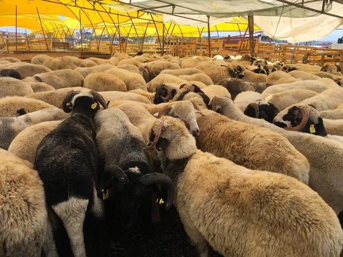 2020 kurban bayrami tatili ne zaman