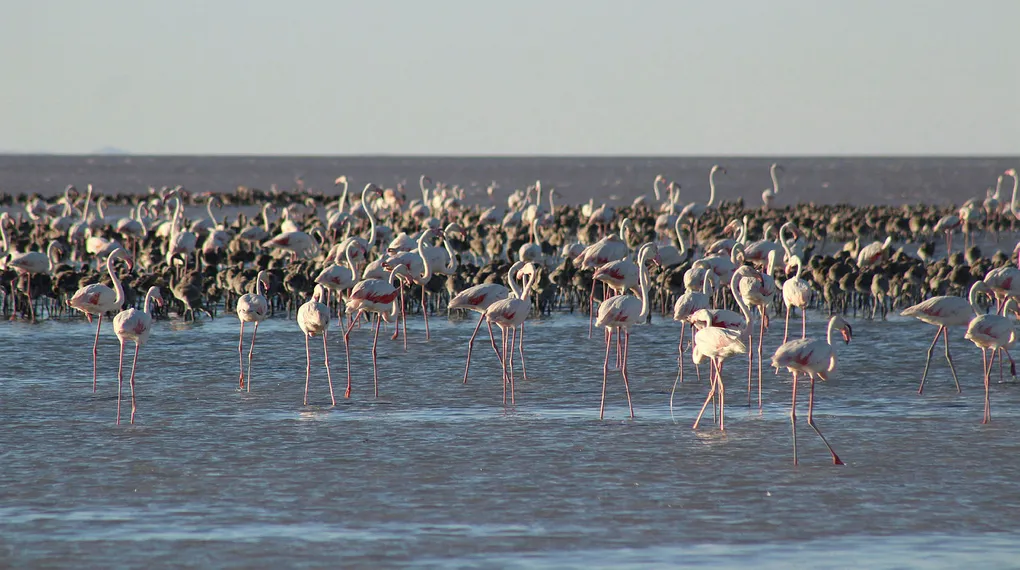 Tuz Gölü’ne can suyu