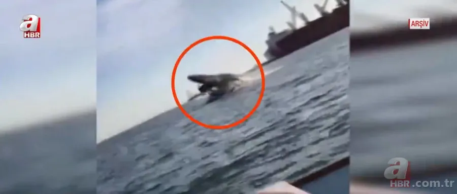 Balık tutan adama köpek balığı saldırdı! Korkunç anlar kamerada 6