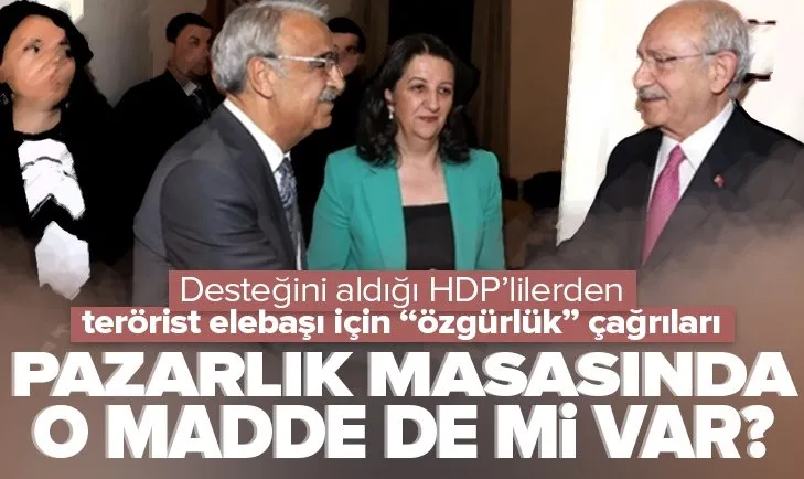 HDP’lilerden Öcalan için provokasyon