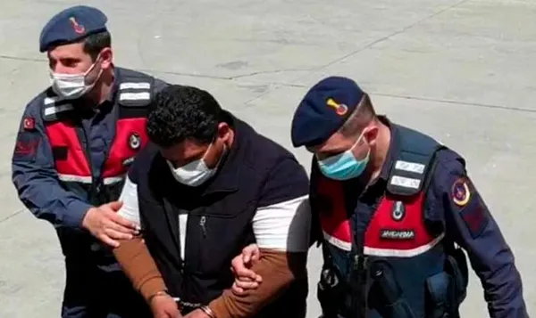 Muğla'daki 3 milyon TL'lik orman vurgununda yeni gelişme! Harekete geçildi - 3