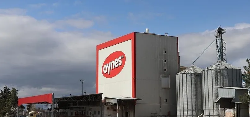 Aynes gıda yönetimi TMSF'ye devredildi