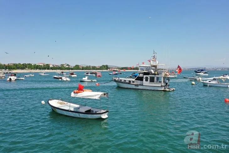 Marmara Denizi için müsilaj müjdesi! İlk 20 metre...