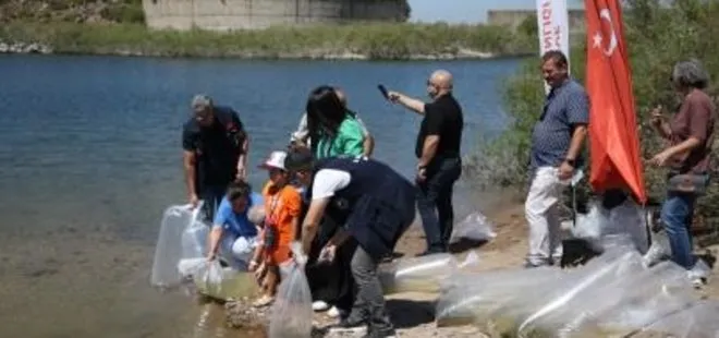 Çanakkale'deki baraj ve göletlere 1 milyon 750 bin sazan yavrusu bırakıldı
