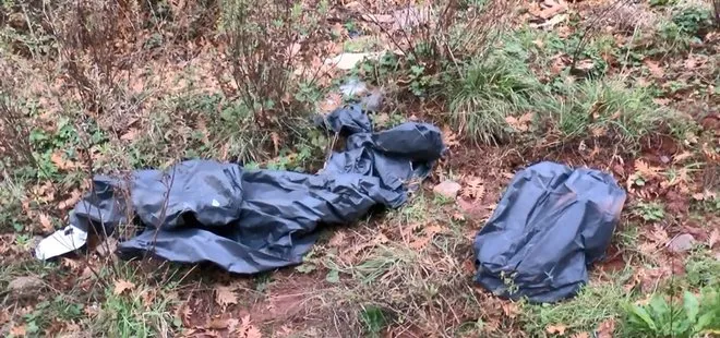 Sarıyer’de ormanda at parçaları bulundu! Lokanta ve kasaplara inceleme