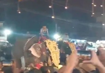 Kerala Festivali’nde fil dehşeti: 17 yaralı