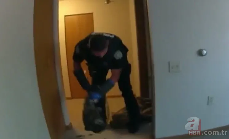 Eve giren firari vahşi hindi ortalığı birbirine kattı! ABD polisinden "özel hindi operasyonu" 17