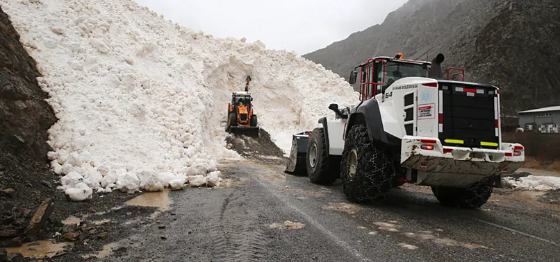 Hakkari çukurca kara yoluna çığ düştü