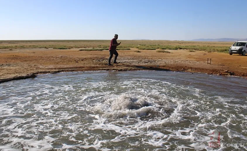 En son 2016'da görülmüştü yeniden ortaya çıktı! Tedirgin eden görüntüler: Uzmanından açıklama 10
