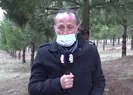 400 ağaç kesilecek mi?