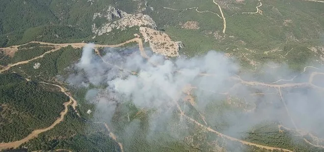 Son dakika: İzmir’de bir orman yangını daha! Dumanlar kilometrelerce uzaktan görülüyor