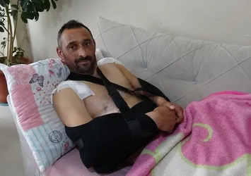 Tokat’ta domuz saldırısından kurtulan adam: Siz bir de onun halini görün