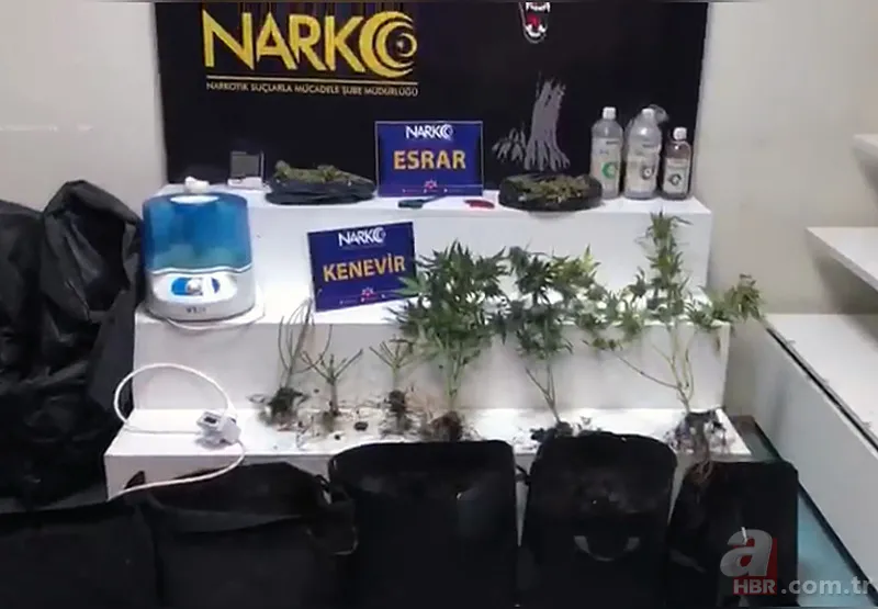 Yatak odasını seraya çevirdi! İfadesi pes dedirtti 6