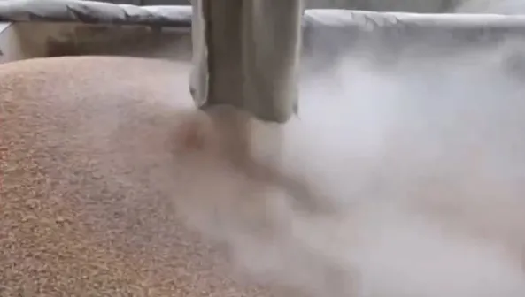 Tahıl anlaşmasında imza bugün! Türkiye’nin çözdüğü krizde tahıl sevkiyatı nasıl yapılacak?