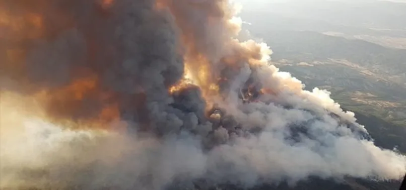 Son dakika: Bakan Pakdemirli: Ankara Nallıhan'daki yangın büyük ölçüde kontrol altına alındı
