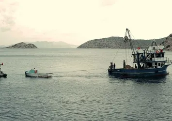 Balıkçılar yeni av sezonundan umutlu