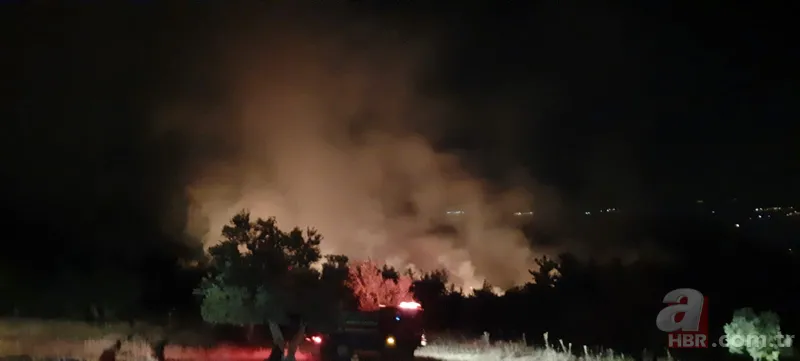 Antalya, Adana, Marmaris, Mersin, Muğla, Osmaniye ve Kayseri'deki orman yangınlarına müdahale ediliyor! Kahreden görüntüler 20