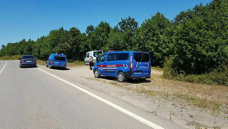 Izmit Te Ormanlik Alanda Kendini Agaca Asti A Haber En Son Haberler