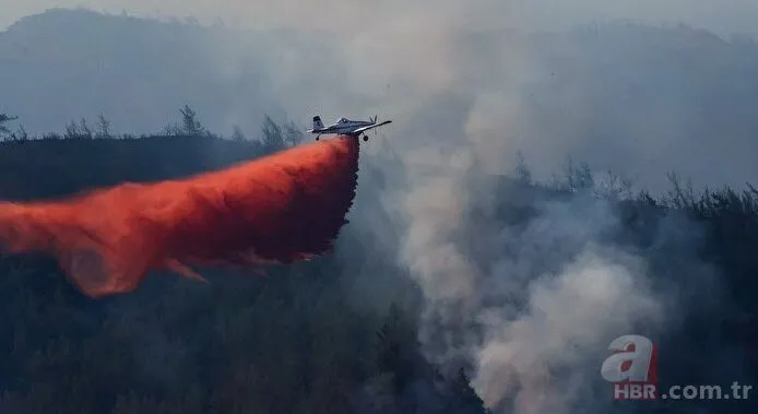 Orman yangınlarında kullanılan kırmızı madde ne işe yarıyor? İşte uçakların döktüğü o sıvı