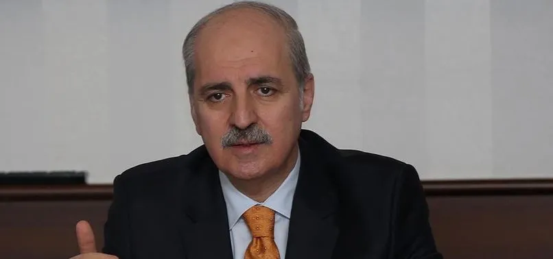 REİNA SALDIRGANI ÇOK TİTİZ BİR ÇALIŞMAYLA YAKALANDI