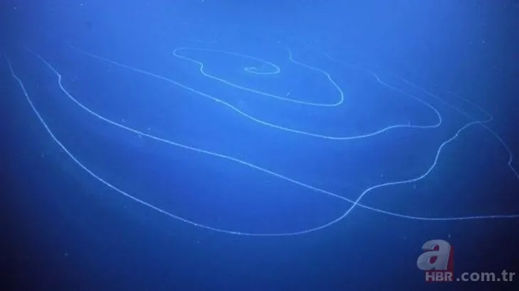 Bilim dünyasını şaşkına çeviren olay! Asırlara meydan okumuş! Tam 5 bin yıllık 11