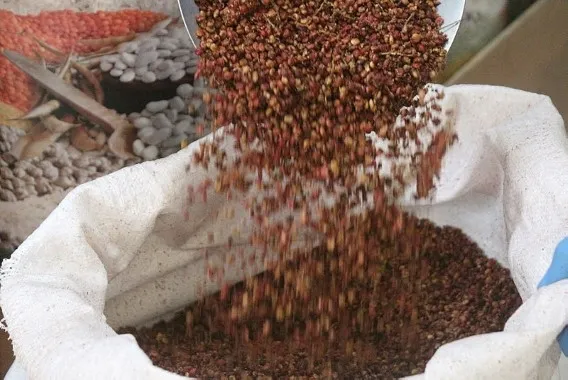 “Coronavirüse iyi geliyor” söylentisiyle satışları artan sumakla ilgili, uzmanlardan uyarı - 1
