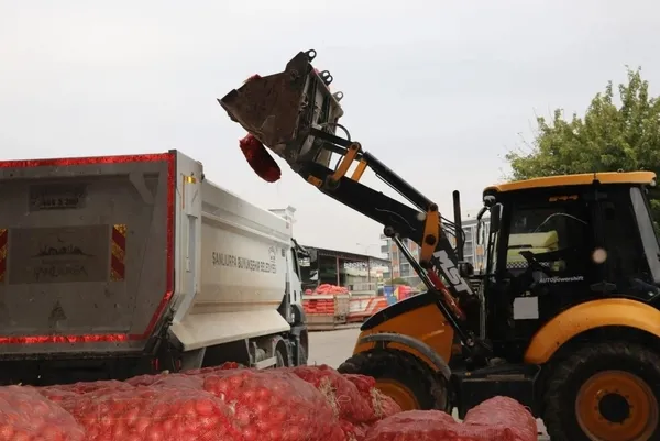 22 ton soğan çöp oldu! Şanlıurfa'da sinirleri geren olay - 2