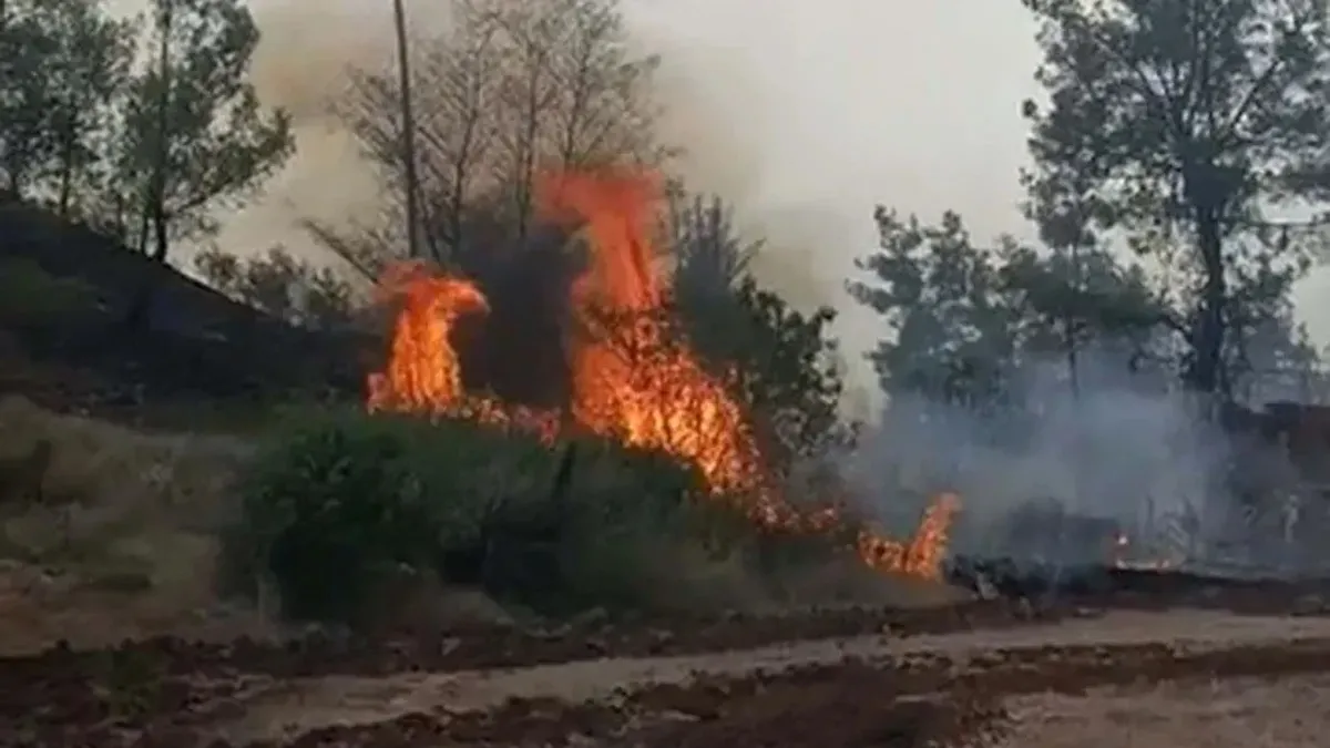 Yılın ilk 7 ayında 4 bin 426 yangın çıktı