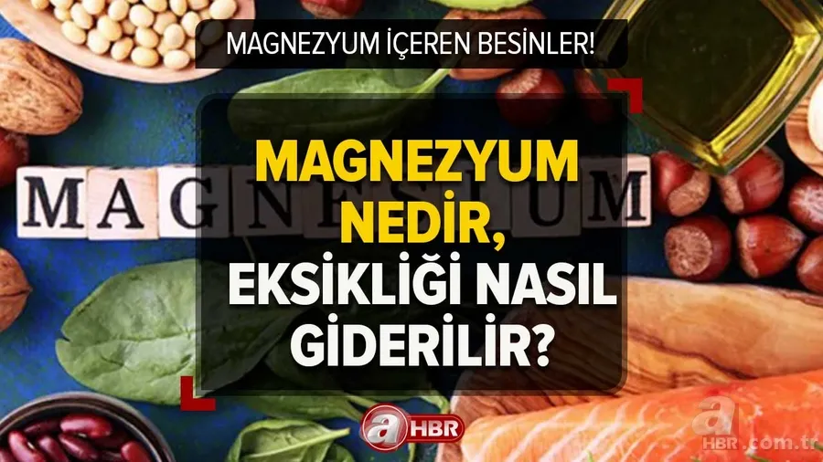 Magnezyum hangi yiyeceklerde var? Magnezyum nedir, eksikliği nasıl giderilir? Özellikle bu 3 besinde... 1