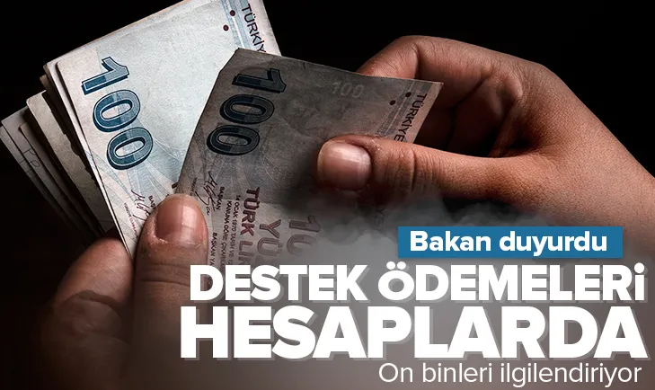 Destek ödemeleri hesaplarda