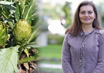 Diyet yapanların vazgeçilmez gıdası