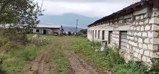 Mel Gibson’ın ’soykırım’ iftirası elinde patladı!