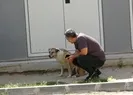 Daire 16 paylaşımları rekor kırdı!