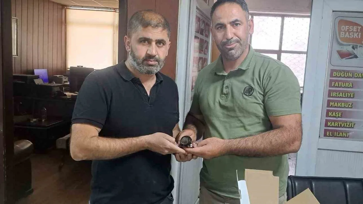 Yaralı halde bulunan ebabil kuşu doğa koruma ekiplerine teslim edildi