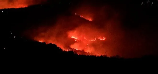 Elazığ’daki orman yangınında 30 dönüm zarar gördü