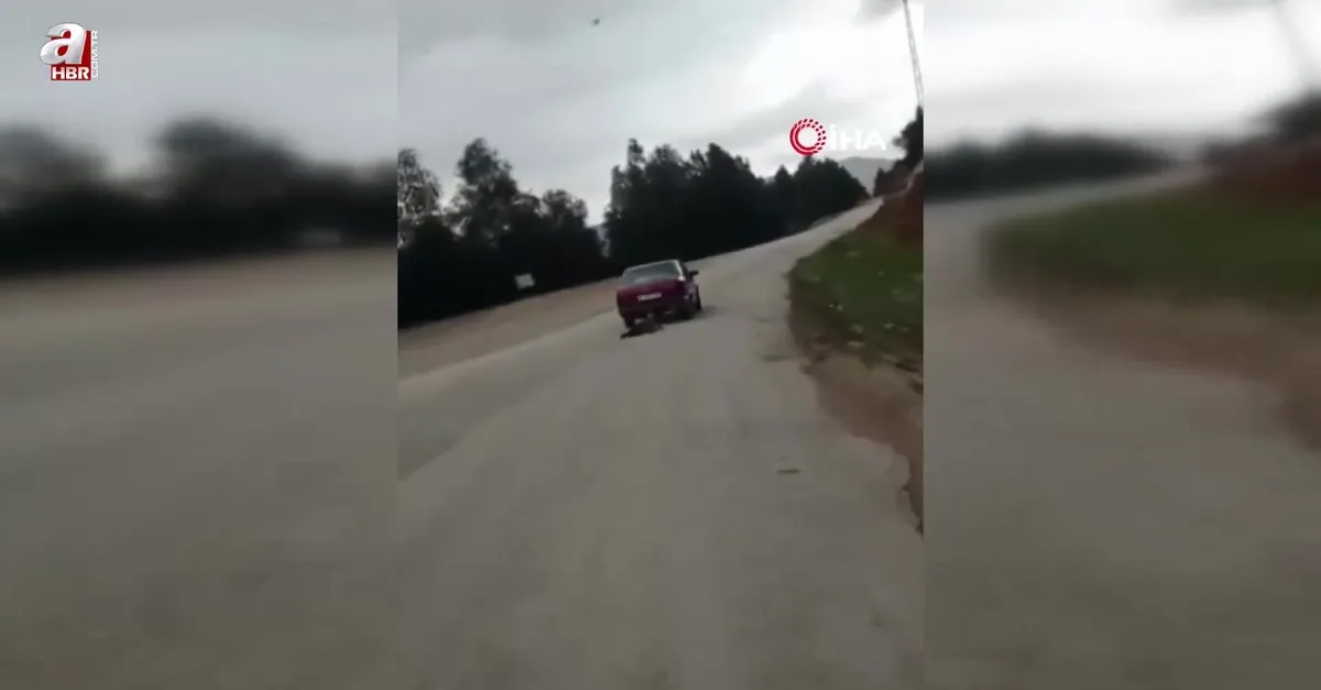 Otomobilin arkasına bağladığı köpeği sürükledi! Gözaltına alındı