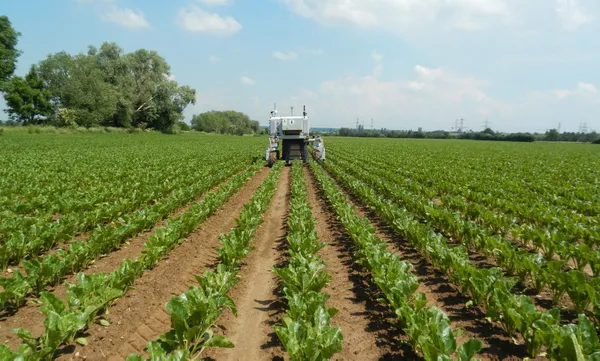 tarimda-yeni-destek-modeli-geliyor-ciftci-memnuniyeti-artacak-1647575220786.jpg SON DAKİKA! Tarımda yeni destek modeli geliyor! Çiftçi memnuniyeti artacak - 5