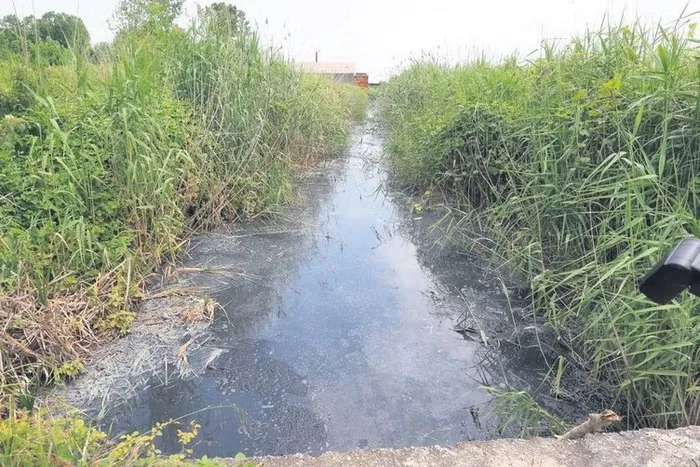 Son dakika: İBB’nin ihmali müsilaj felaketine davetiye çıkardı: Haliç de gidici!