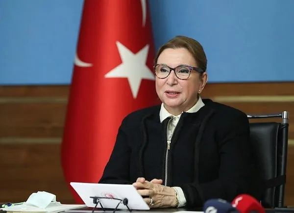 Türkiye'den Avrupa Birliği'ne "Gümrük Birliği" çağrısı: Güncellenmesi önem taşıyor - 1