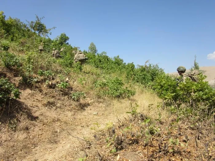 Son dakika: Bakanlık duyurdu! Bitlis’te ’Yıldırım-15 Mutki-Sarpkaya’ operasyonu başlatıldı