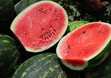 Karpuzun kilosu tarlada 7 liraya geriledi