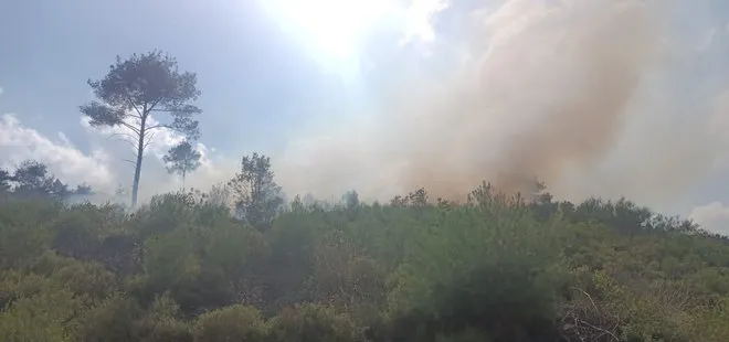 Akhisar’da orman yangını, uçak ile helikopterler müdahale!
