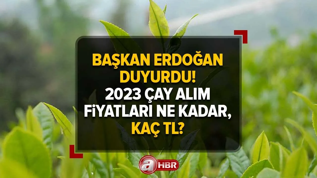 Çay fiyatları ne kadar, kaç TL? Çay fiyatları 2023: Yaş çay alım fiyatı belli oldu!
