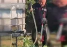 Evin bahçesinde yılan avı