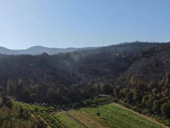 İzmir'deki 3 yangın kontrol altına alındı! Bakan Yumaklı yangınların çıkış nedenini açıkladı - 2