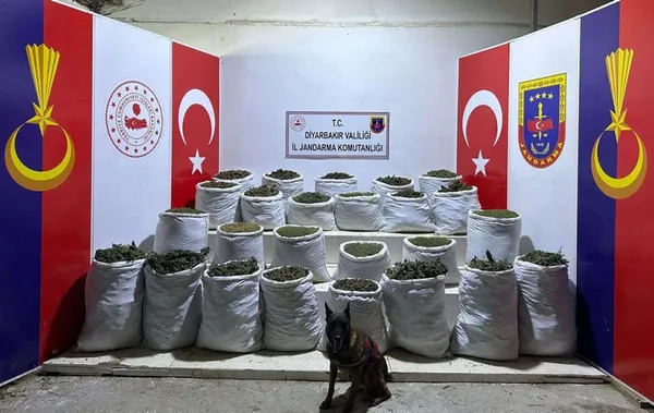 Diyarbakır’da ’Eren’ operasyonu: 603 kilogram esrar ve 640 bin 600 kök esrar bitkisi ele geçirildi