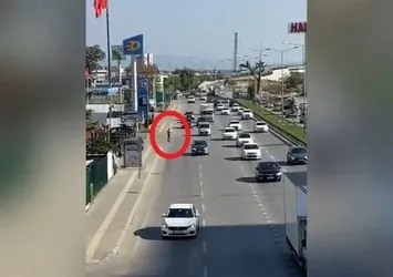 Canını hiçe saydı! Araçların arasında böyle yürüdü